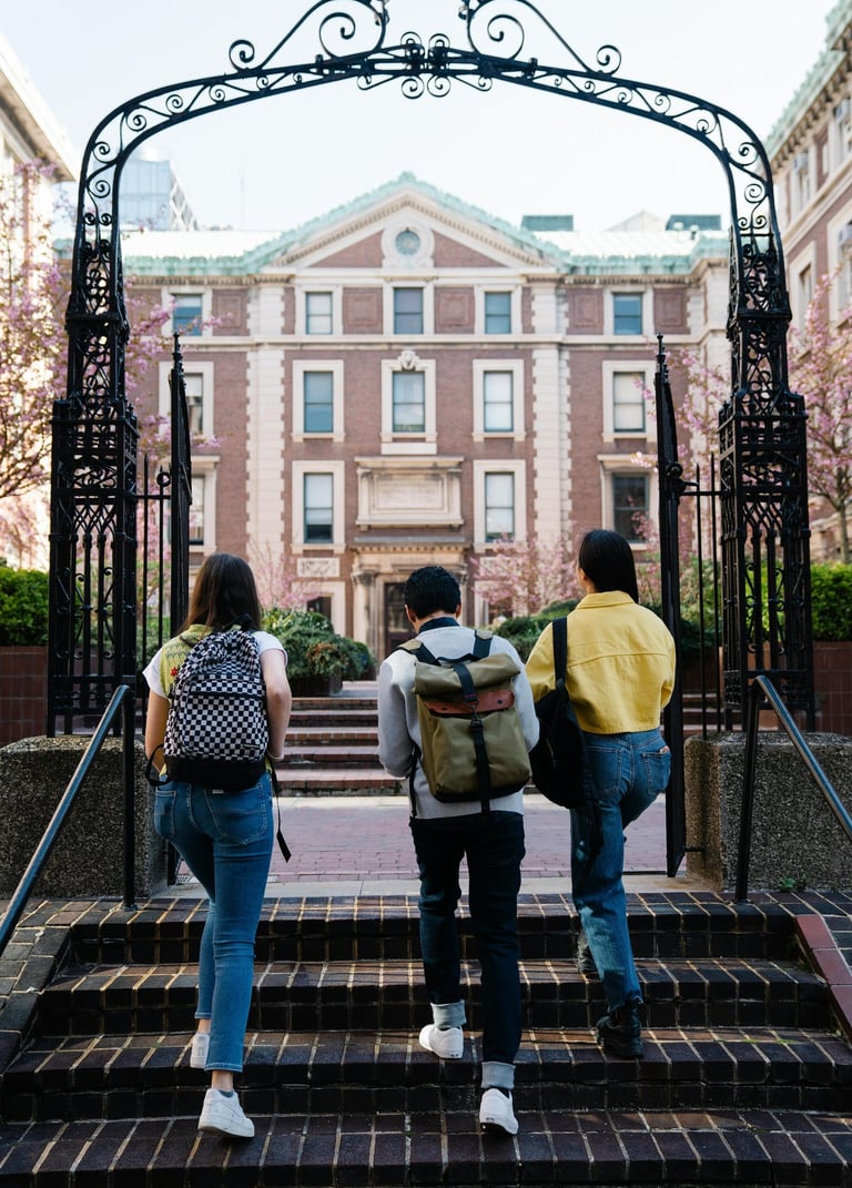guardianship, school, university, high school, college, immigration, graduation, family