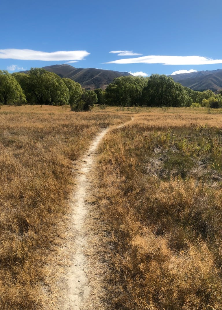 Peaceful pathway representing personal yoga journey in Castlegar BC