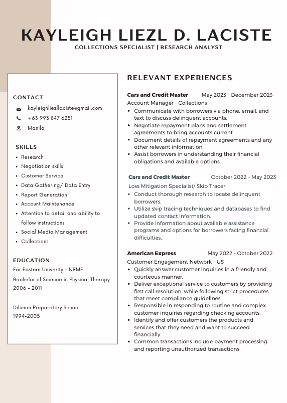 a professional resume for a job in a professional resume