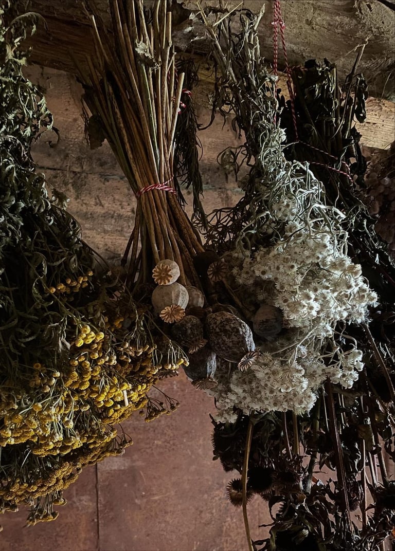 Žali akcentai - džiovintų augalų dekoracijos namams