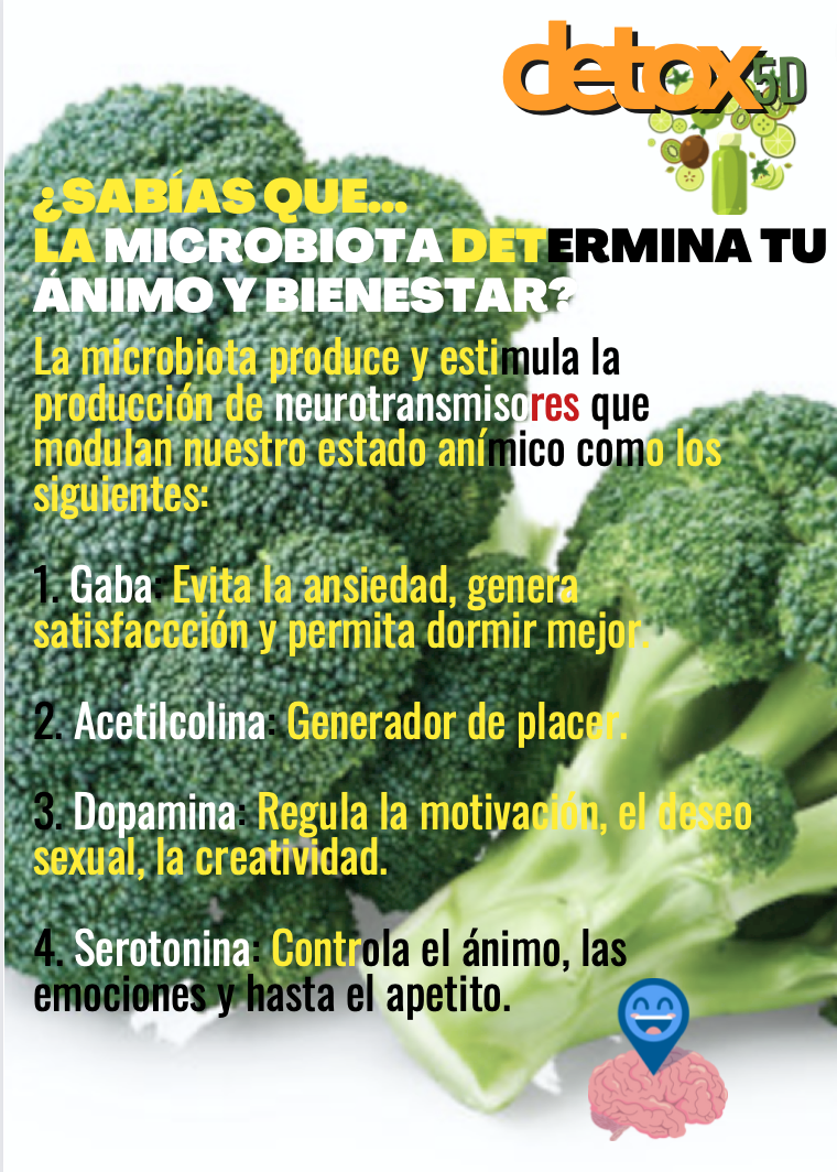 La microbiota determina tu ánimo y tu bienestar