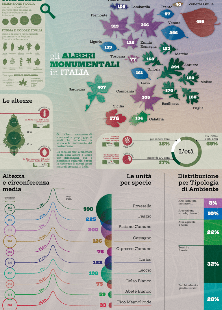 Data Visualization Infografia Infographic Design Milan Recife