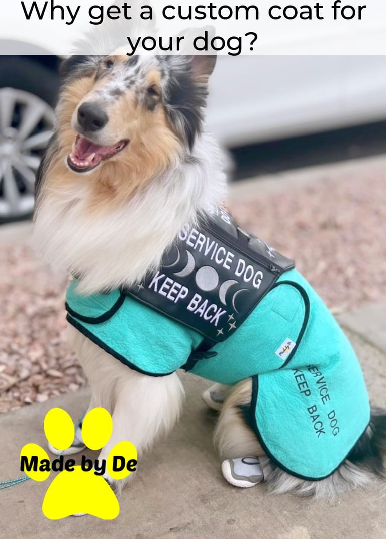 Collie wearing a dog cool coat sitting by a car