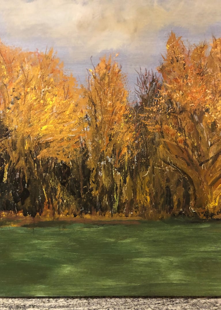 CBM Art Court Meadow - Golden Glow Acrylic on canvas board