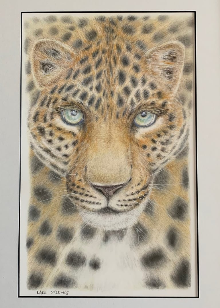 Leopard