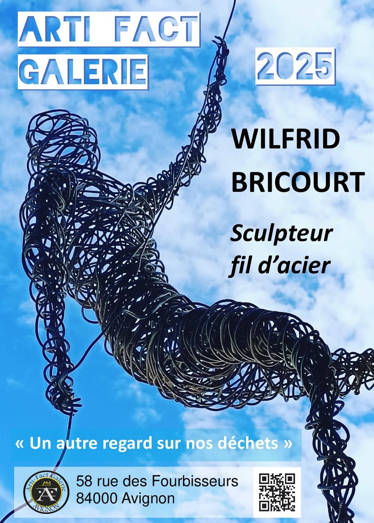 Arti-Fact Galerie d'Art Avignon exposition 