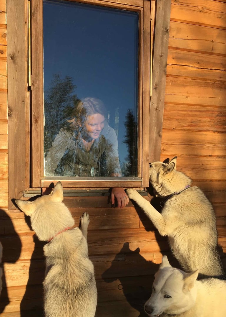 éducateur canin expériementé avec des chiens