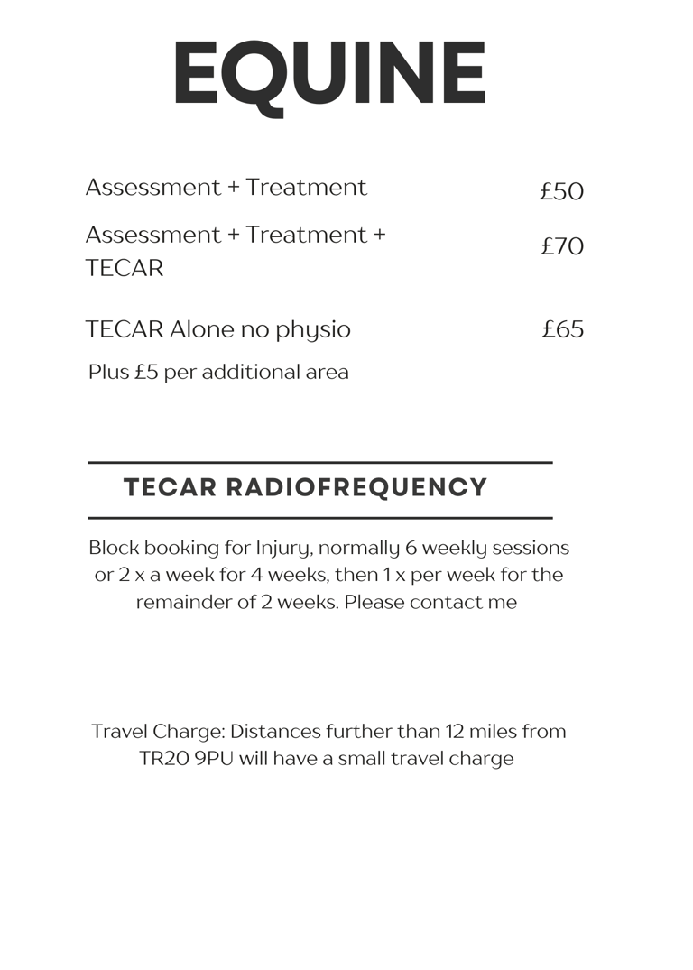 Equine physiotherapy prices