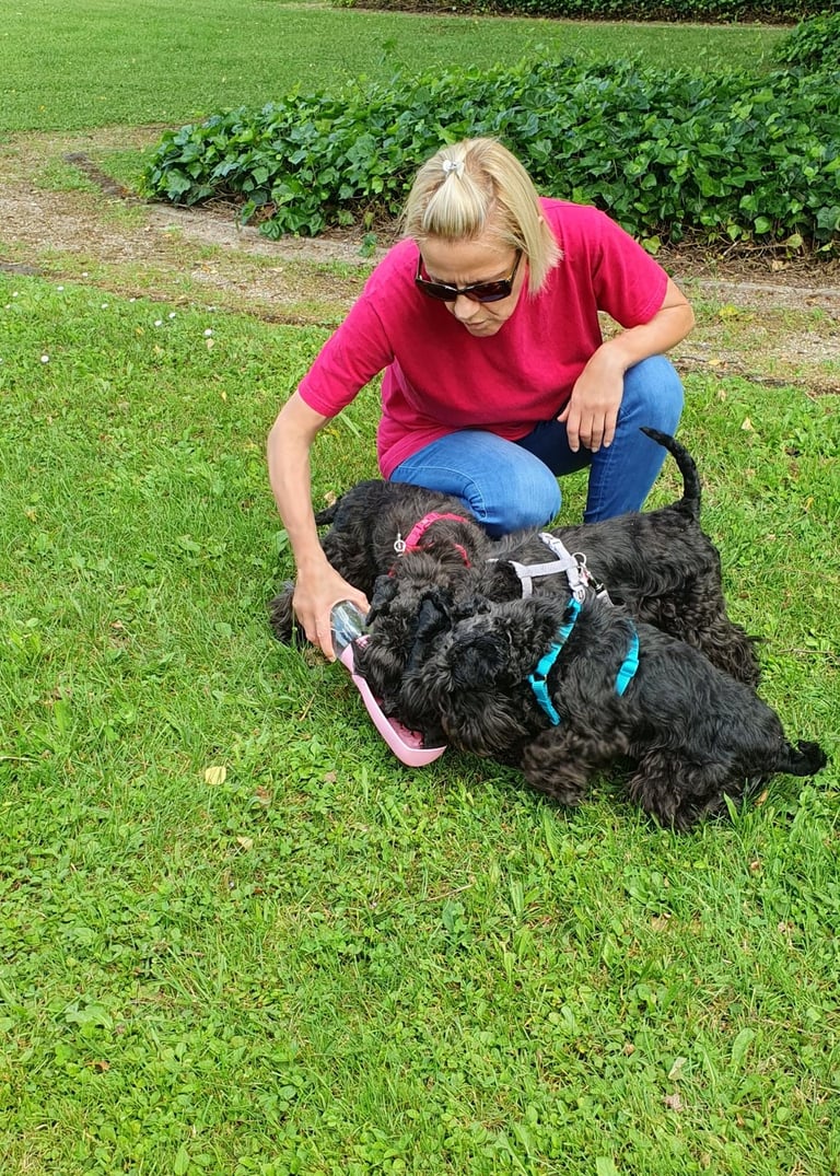 Les Diamants s'abreuvent !