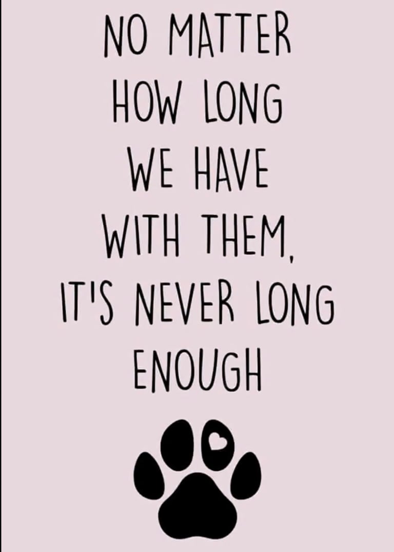 Pet loss quote about how long we have with them is never long enough.”