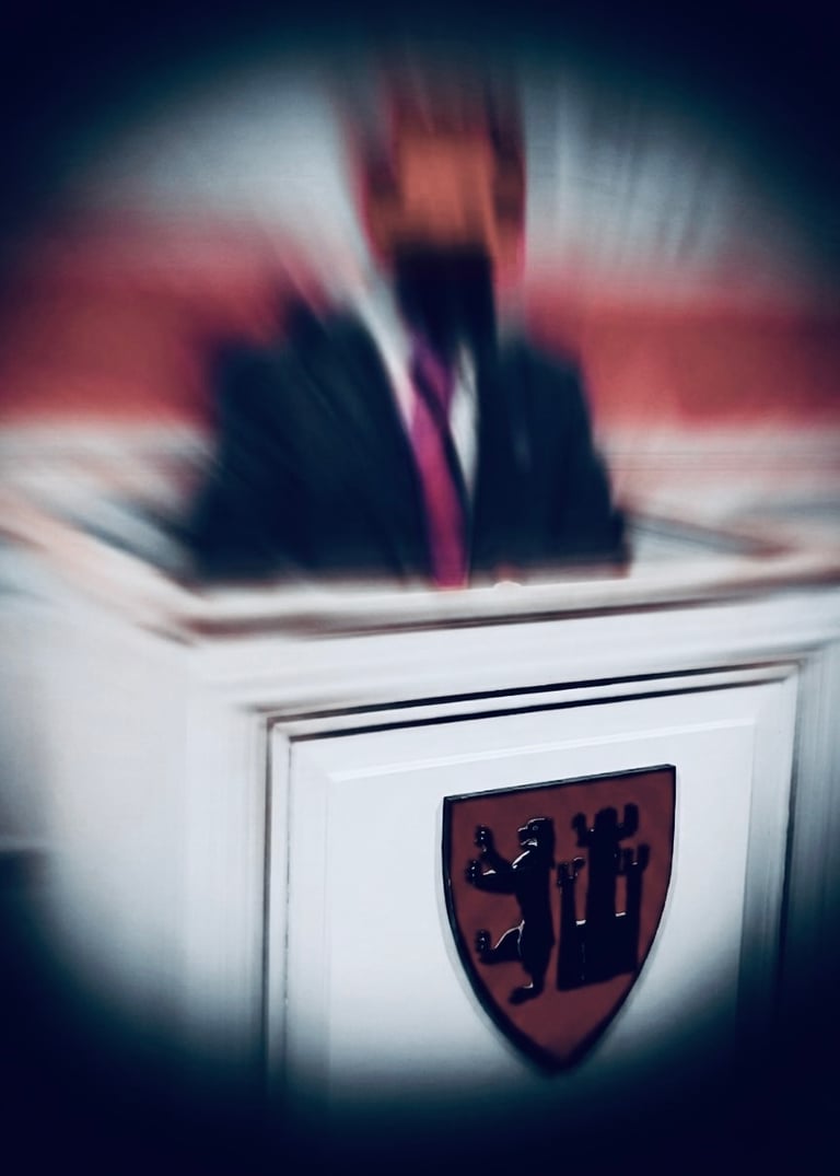 Salah Hassan Al Saad, Qatranada Adnan Abdulhussein, Fredrikstad Kommune bystyret, Styrer, råd og utvalg,