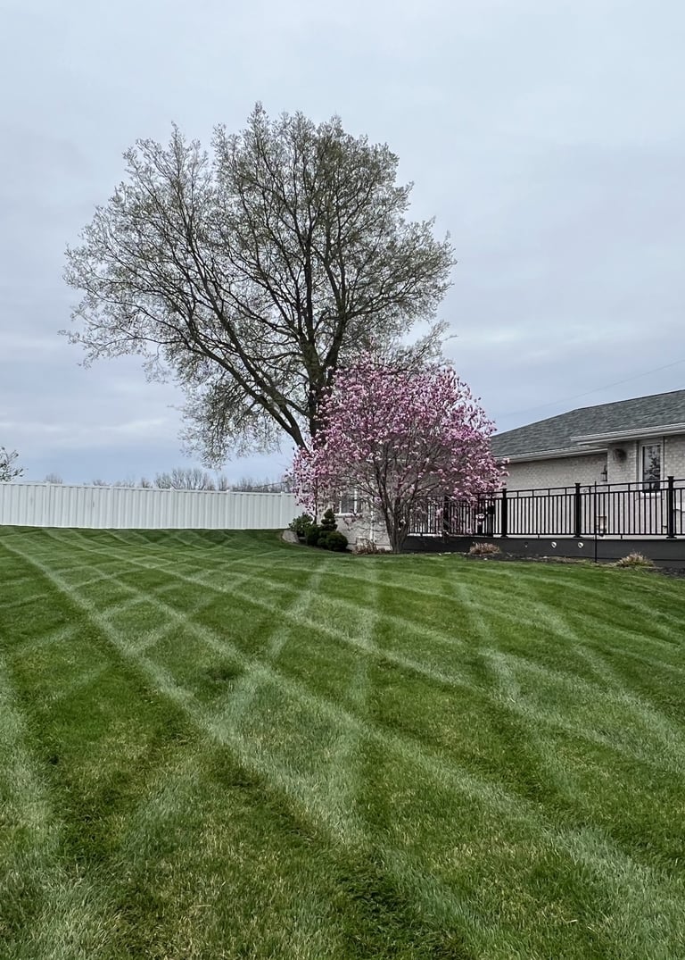 lawn-care-services-in-hannibal-mo