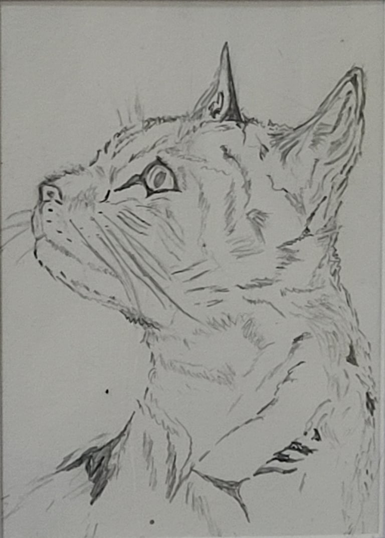Retrato a lápiz de una gata, 'Pimienta', la gata del autor Óscar Ocaña Parrón, hecho por él