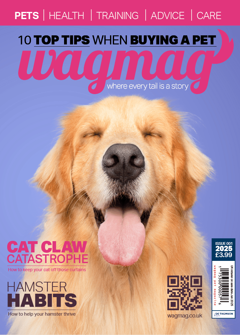 Wagmag pet magazine cover featuring a smiling Golden Retriever with its eyes closed and tongue out.