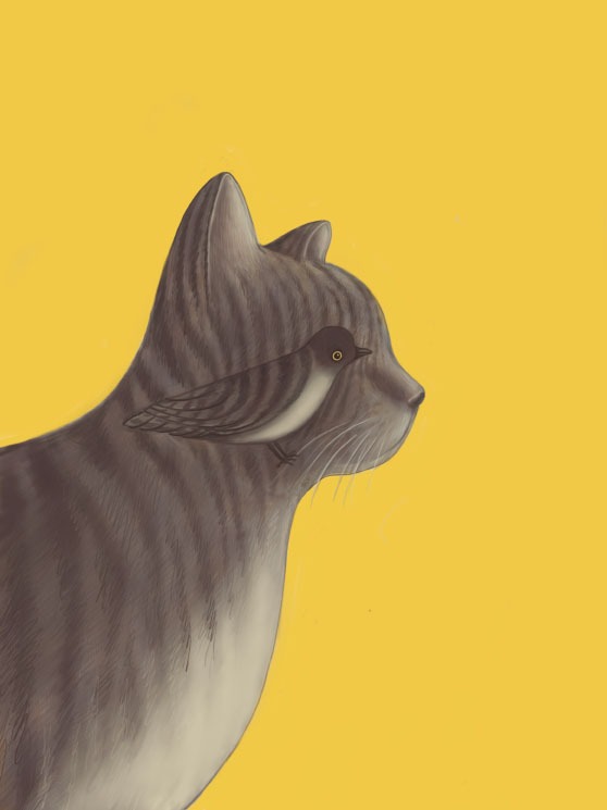 Kedi ve Kuş / Cat and Bird by Gürbüz Doğan Ekşioğlu