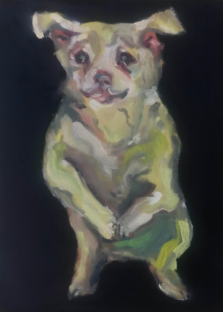 Dog in a shelter by Lina Mikuzyte