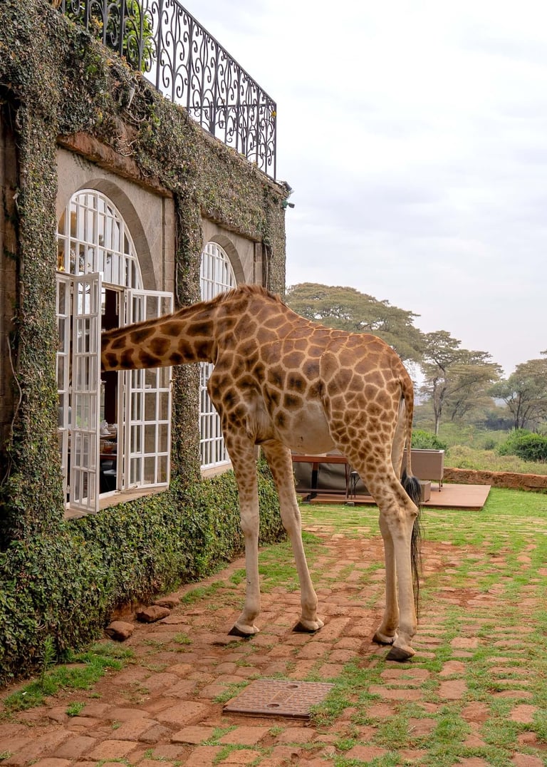 Giraffe Manor Kenya
