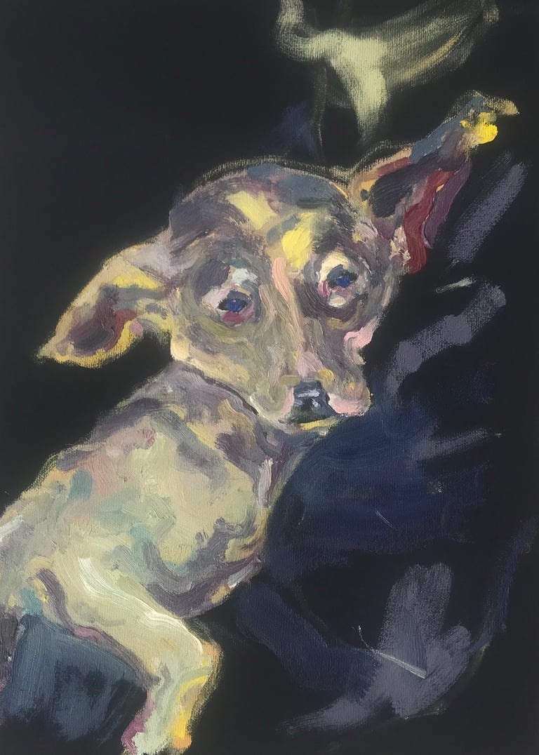 Dog in a shelter by Lina Mikuzyte