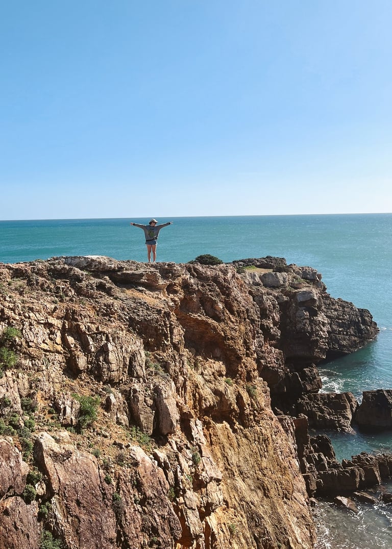 a person standing on a cliff overlooking the ocean