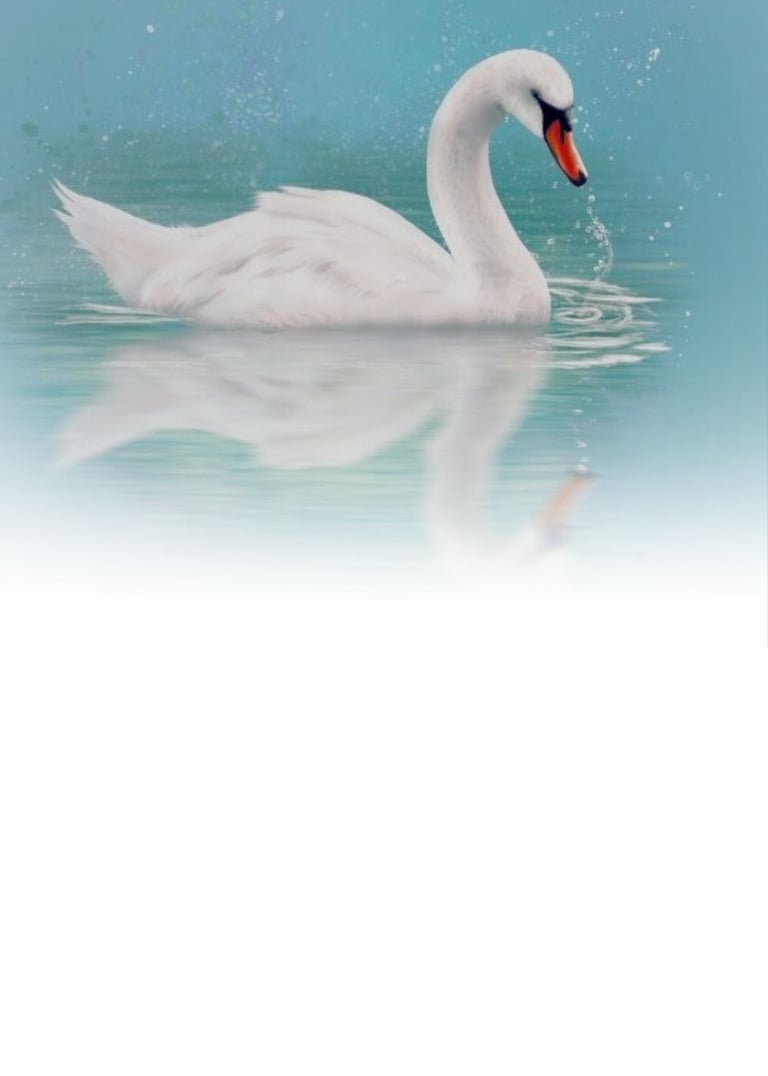 A white swan moving gently across calm water, reflected beneath the surface, suggesting attentive pr
