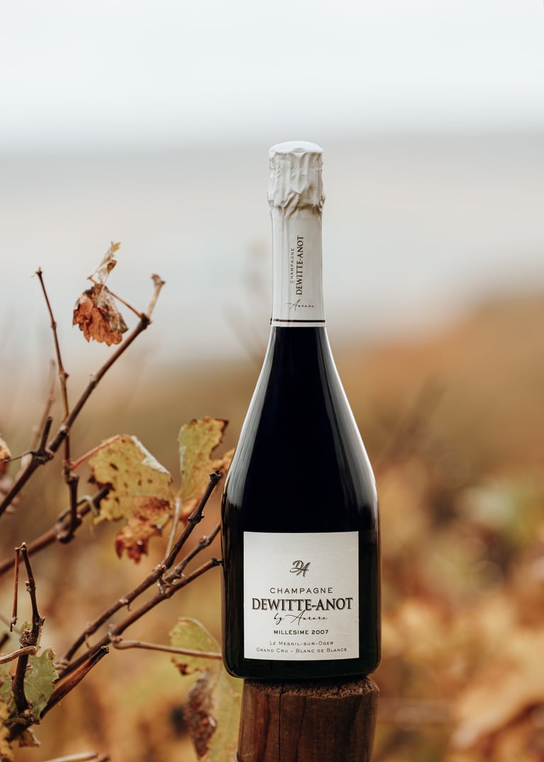 Packshot Maison Champagne Dewiette-Anot