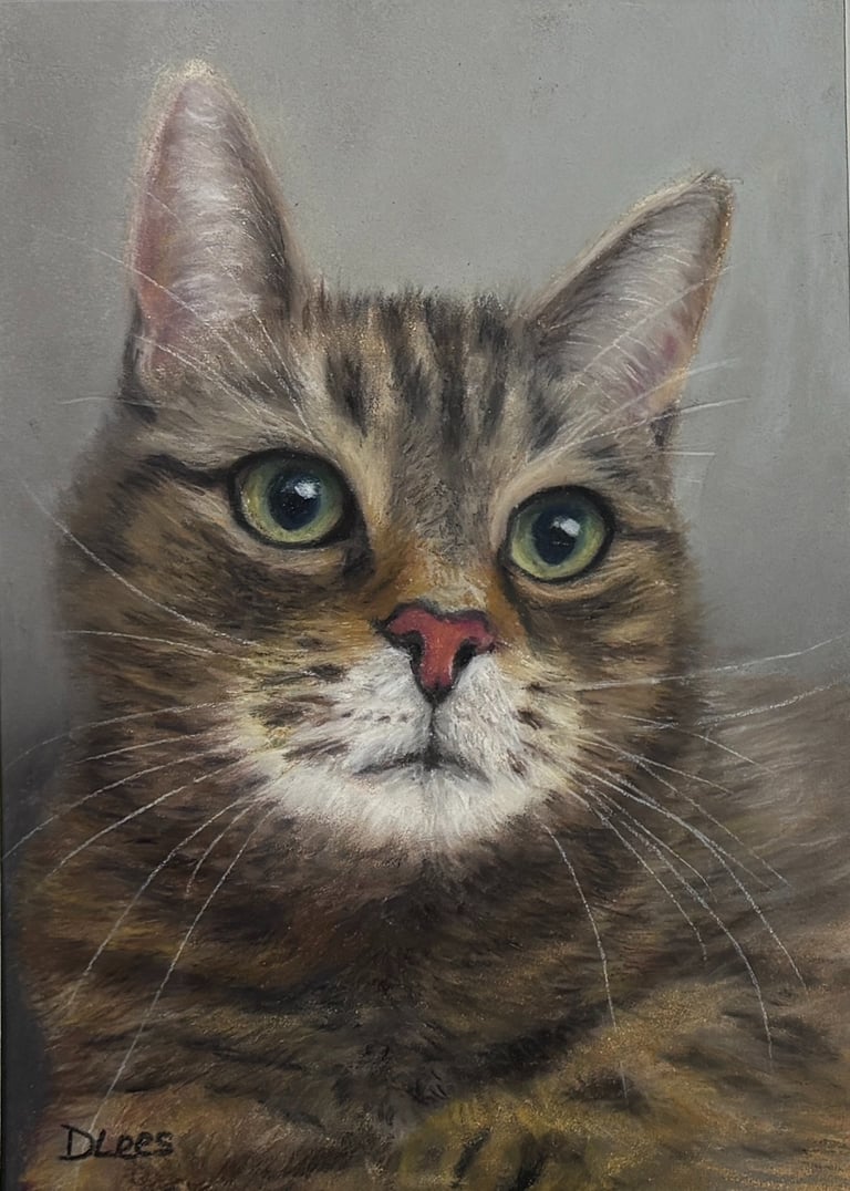Soft pastel drawing of a Tabby cat 