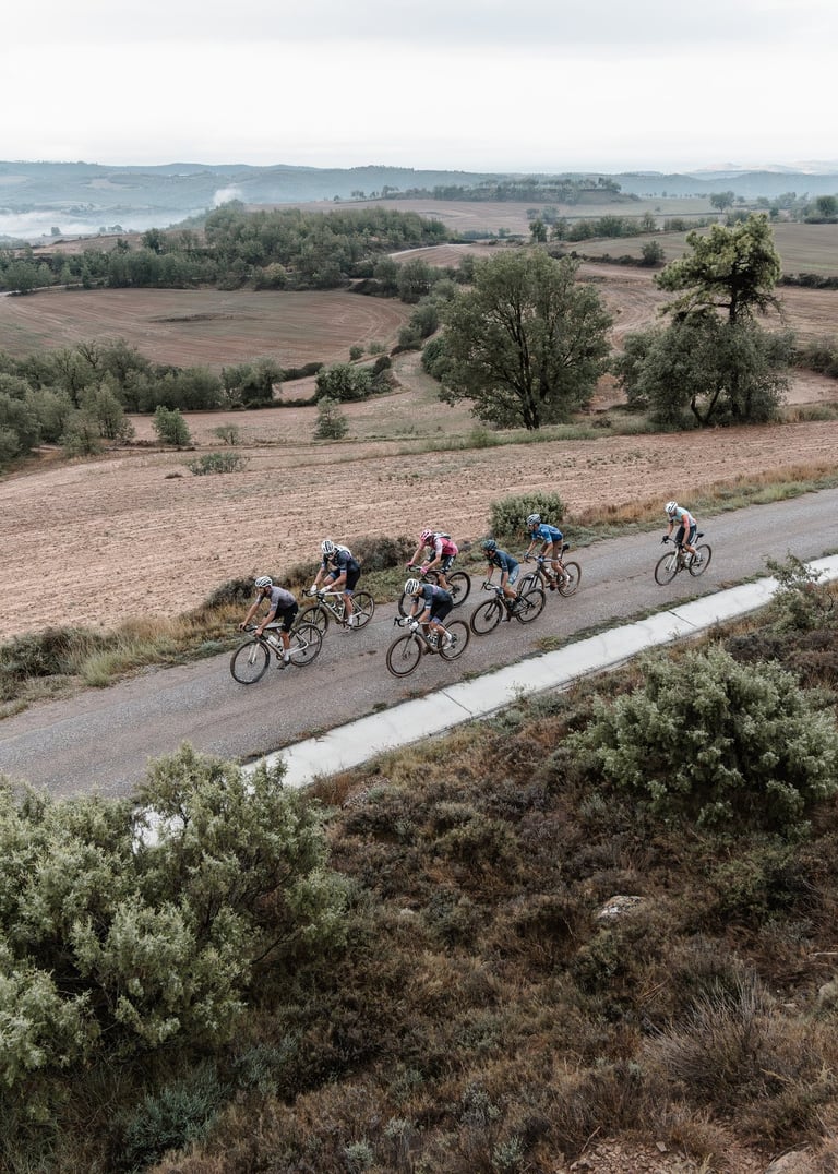 a group of cyclists riding down a road