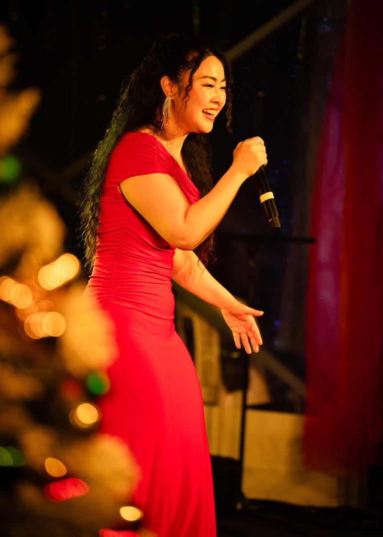 Christmas Dandenong Festival