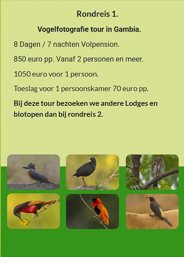 Flyer Rondreis 1 – 8-daagse vogelfotografie tour in Gambia. Volpension. Prijs vanaf €850 p.p. Inclus