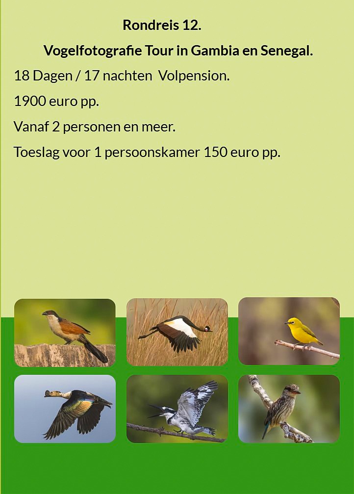Flyer Rondreis 12 – 18-daagse vogelfotografie tour in Gambia en Senegal. Volpension. Prijs vanaf €19