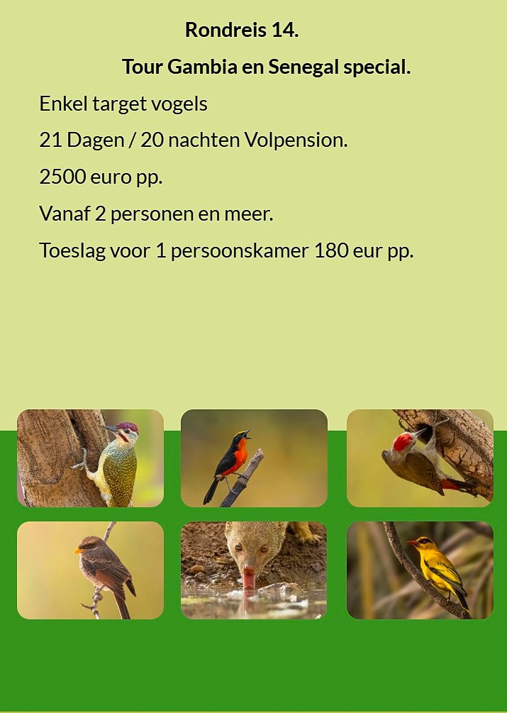 Flyer Tour 14 – 21-day bird photography tour in Gambia, Senegal & Niokolo-Koba NP. Full board. Price