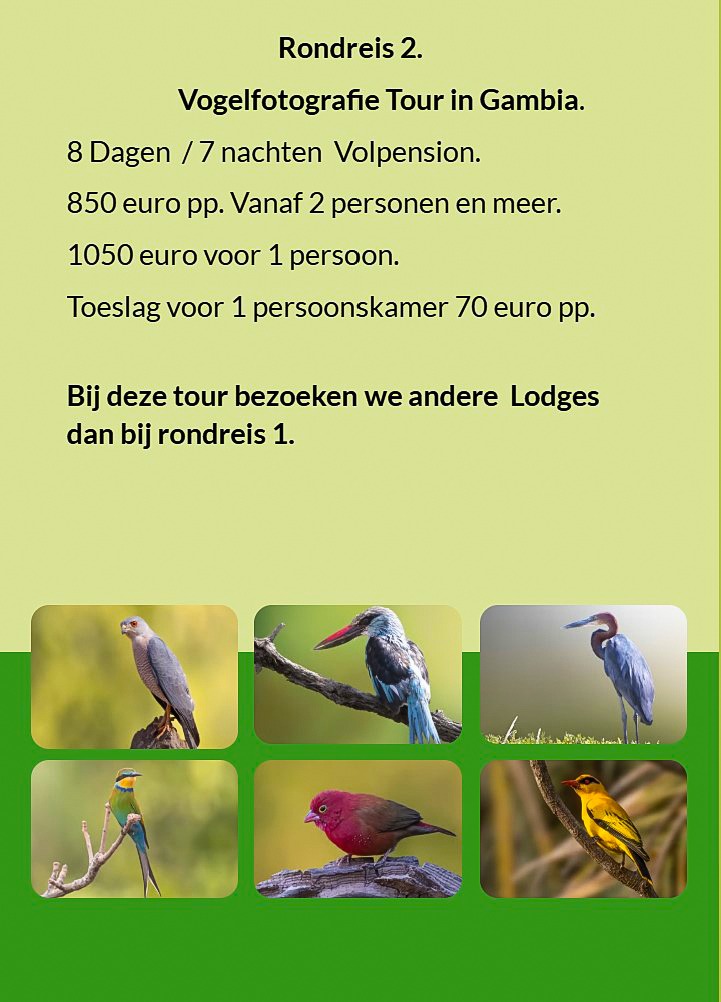 Flyer Rondreis 2 – 8-daagse vogelfotografie tour in Gambia. Volpension. Prijs vanaf €850 p.p. Inclus