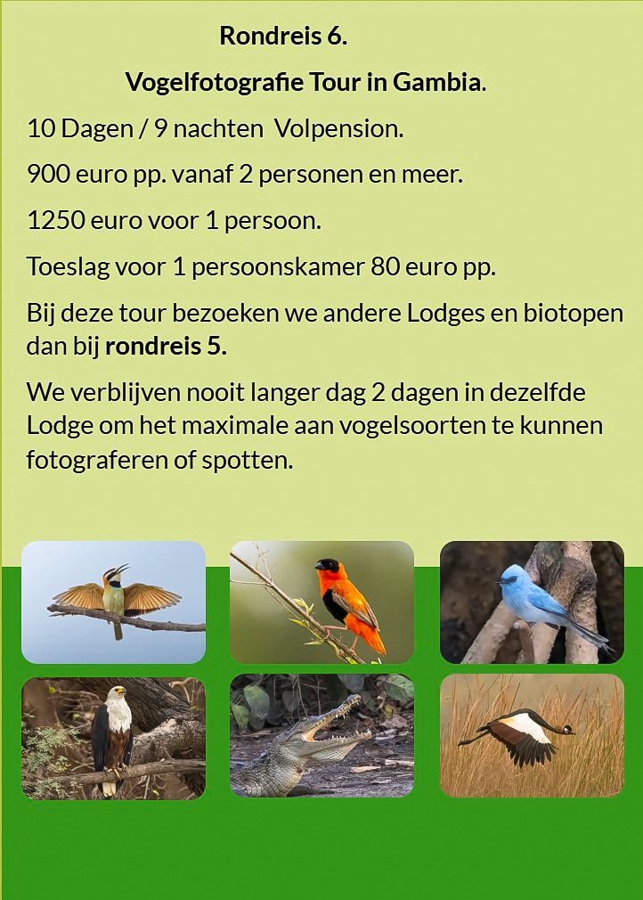Flyer Rondreis 5 – 10-daagse vogelfotografie tour in Gambia. Volpension. Prijs vanaf €900 p.p. Inclu