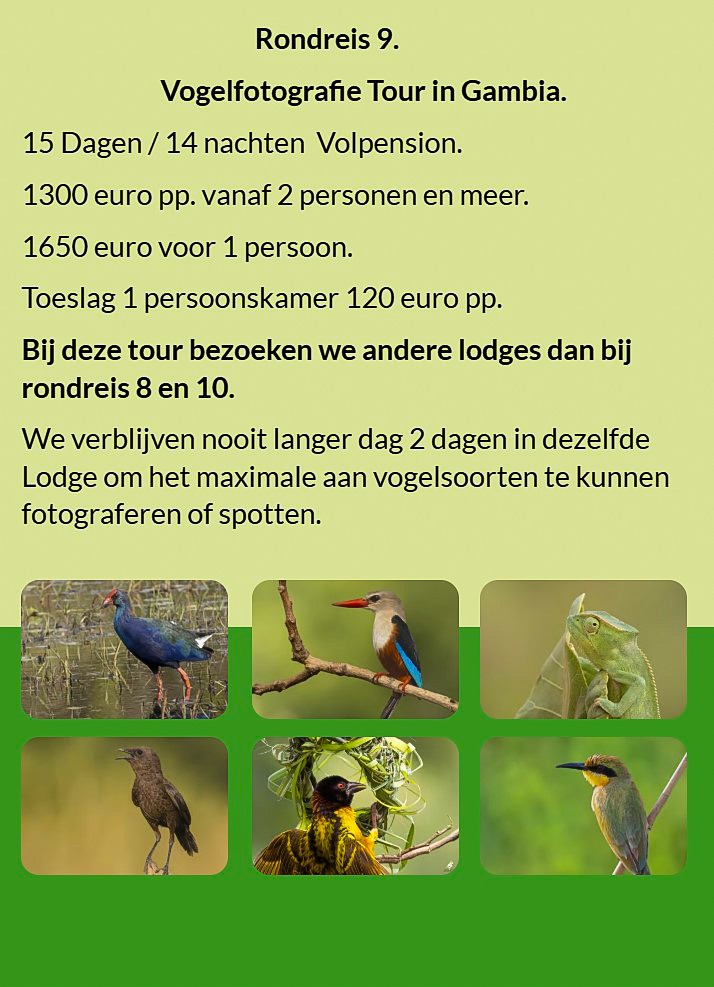 Flyer Rondreis 9 – 15-daagse vogelfotografie tour in Gambia en Senegal. Volpension. Prijs vanaf €130