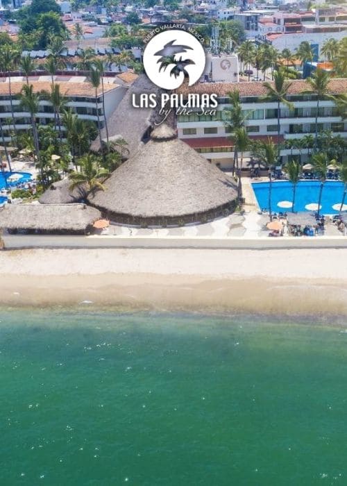 Hotel las Palmas viajes a puerto vallarta desde morelia