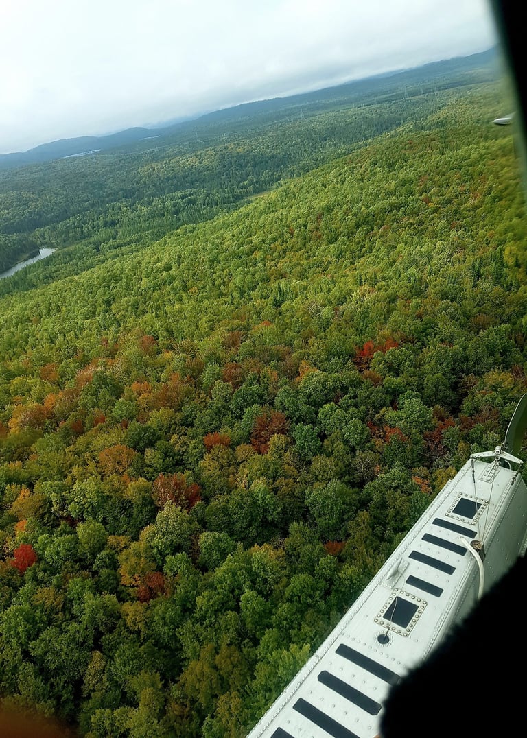 Hydravion Québec