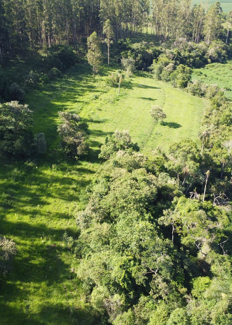 regularização ambiental