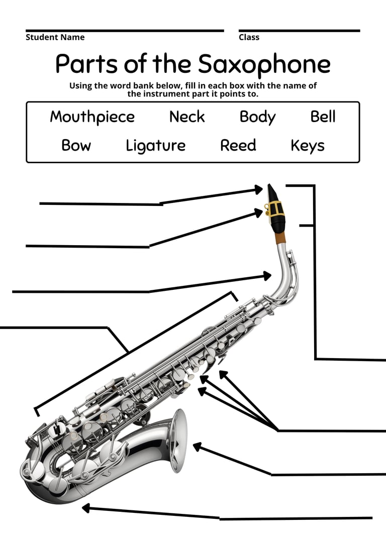 Pasrt of the Saxophone