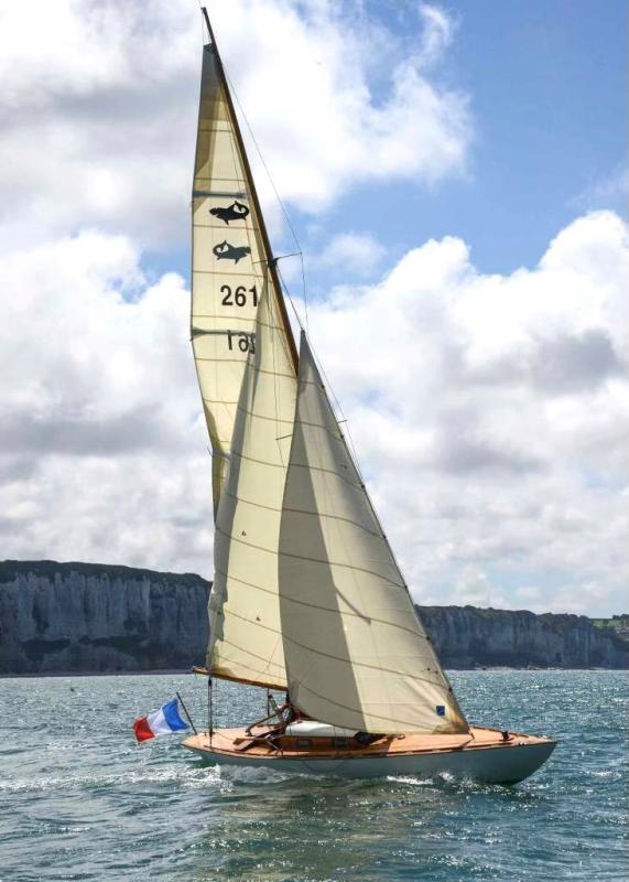 Voile classique Requin