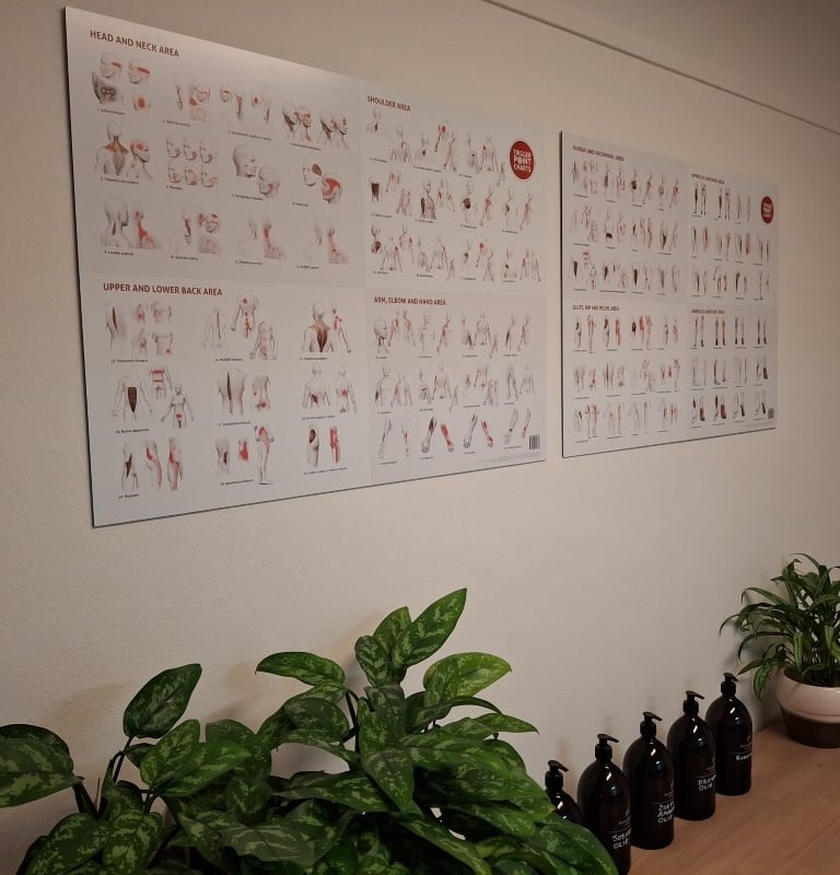 Triggerpoint massagetechnieken voor holistische, gerichte pijnverlichting