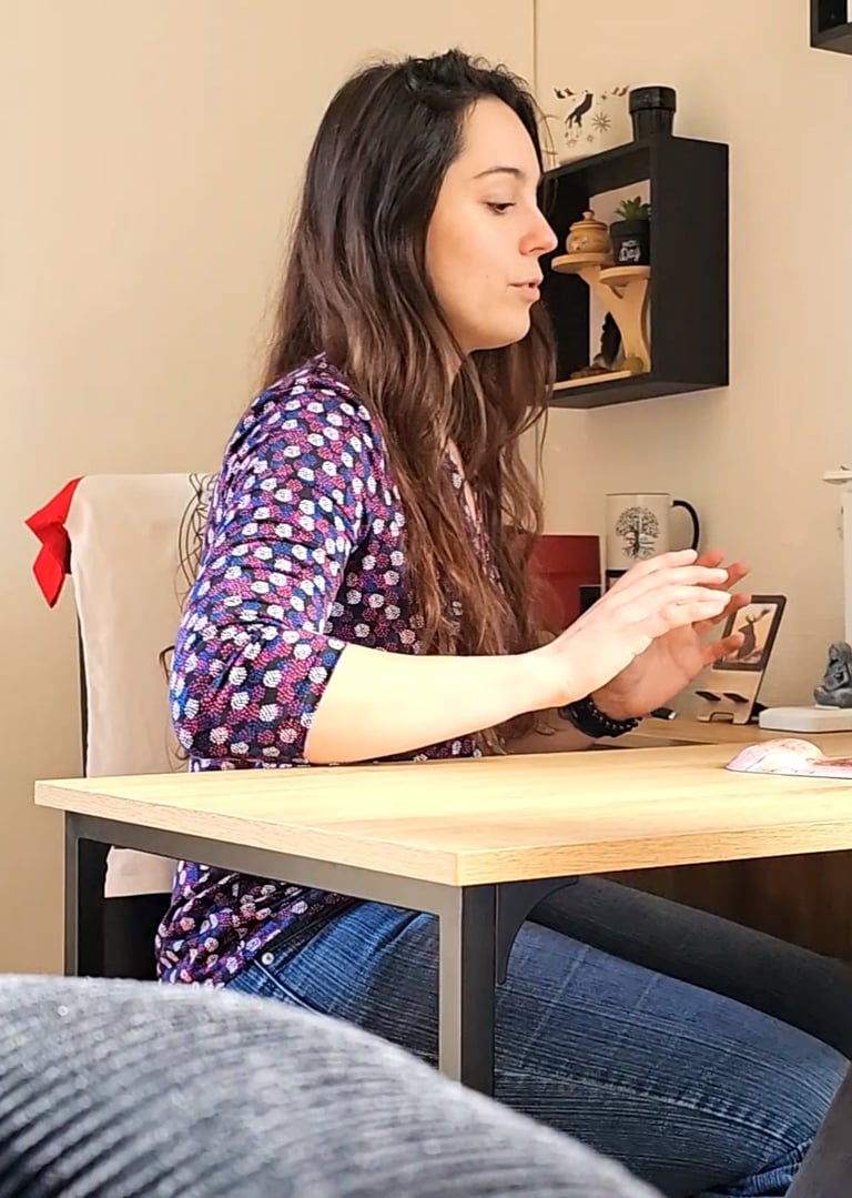 consultation individuelle bureau questionnement therapie hypnose pnl explication