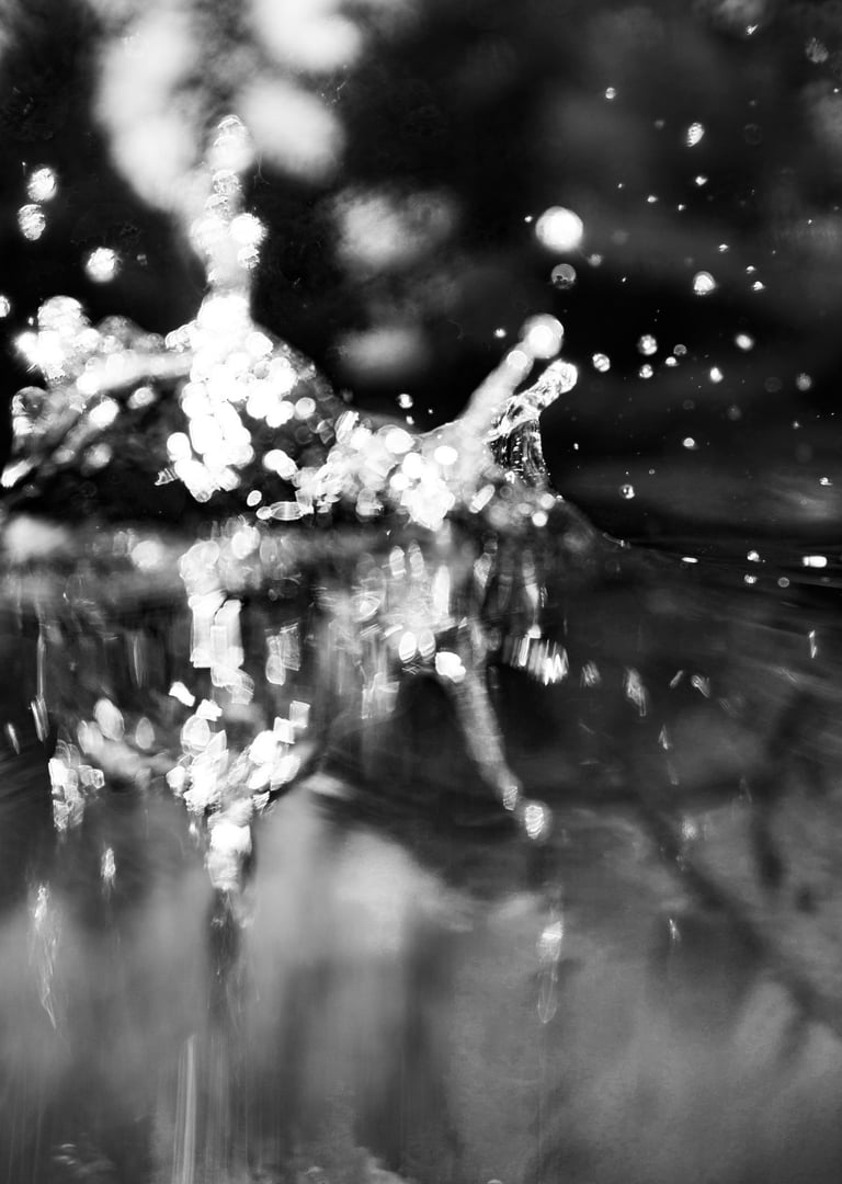 Black and white abstract macro photography of shimmering water splashes and bokeh light reflections.
