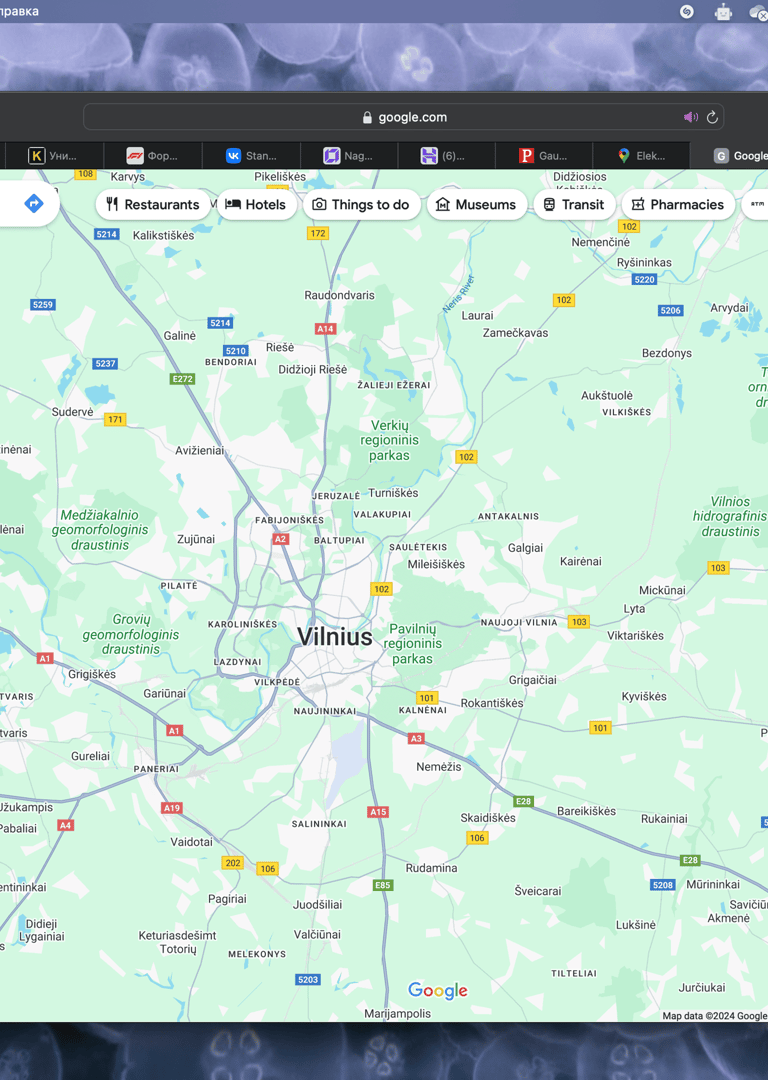 Ūkvedžio paslauga, ūkvedys, aplinkos priežiūra, gerbūvio įrengimas, terasos įrengimas