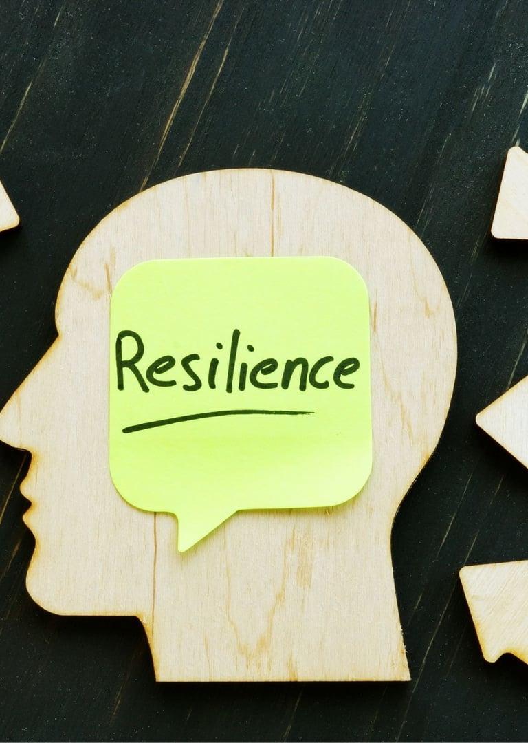 Building Resilience: Managing Stress in Professional Environments