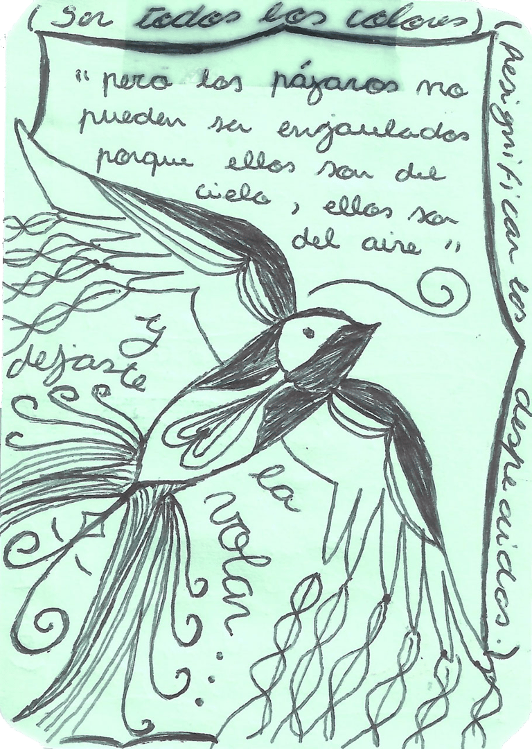 dibujo en lapicera sobre pájaro