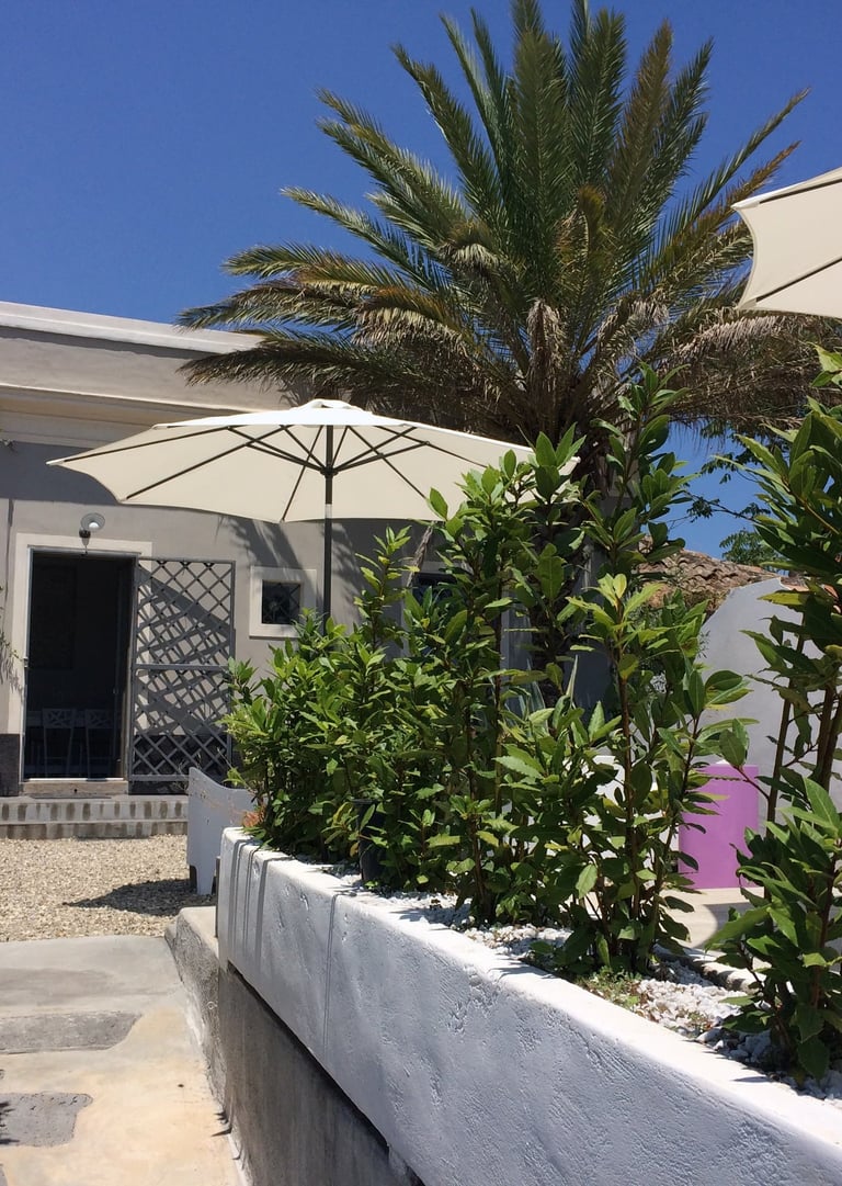 itahome Luxury patio with palm tree, white sun umbrellas, and green plants outside a modern villa.