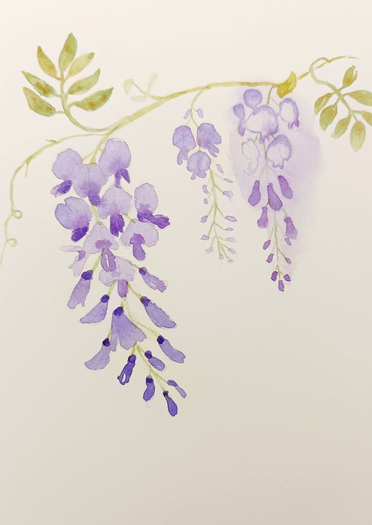 aquarelle glycine fleurs violettes étude délicate