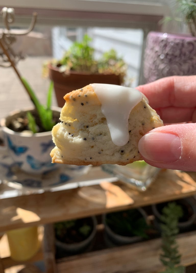 lemon poppyseed scone, 2 bite scone