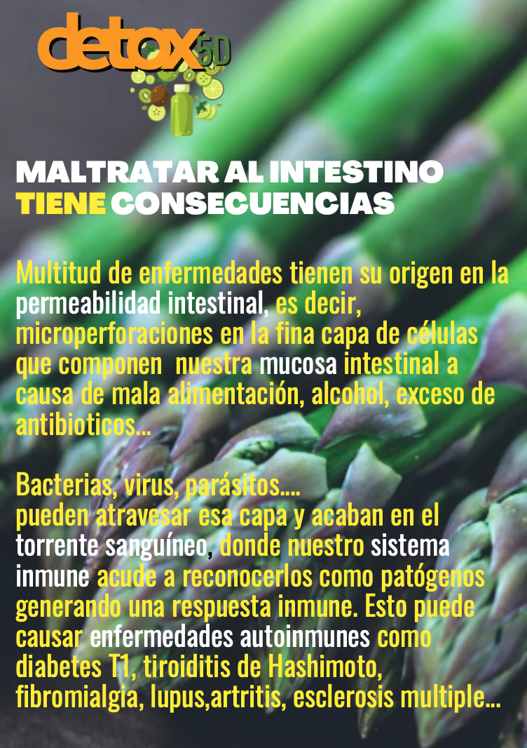Maltratar el intestino tiene consecuencias en la salud de todo el cuerpo