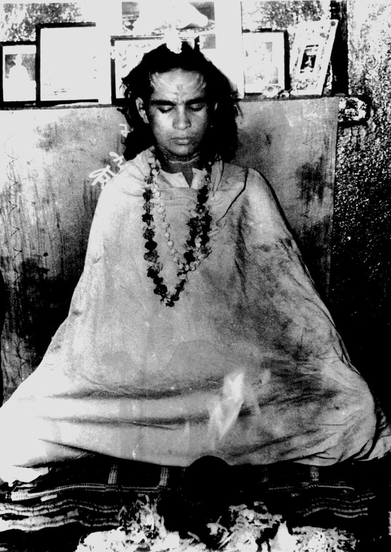Shri Babaji in meditazione